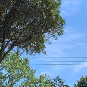 Meet your Posher, Kelie